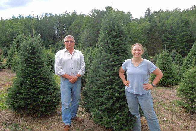Tree Care for Fraser Fir and Balsam Fir - Steigerwaldt Tree Farms -  Tomahawk, Wisconsin